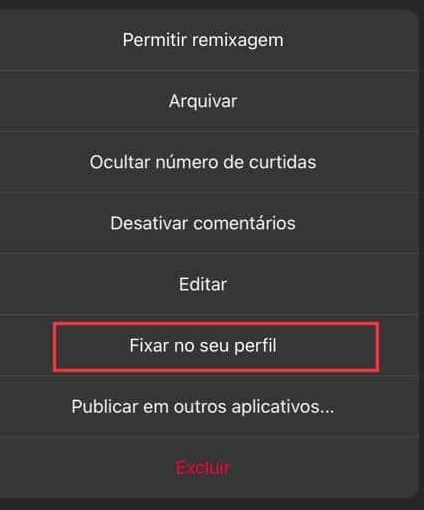 Onde clicar no menu para fixar a postagem no seu Instagram