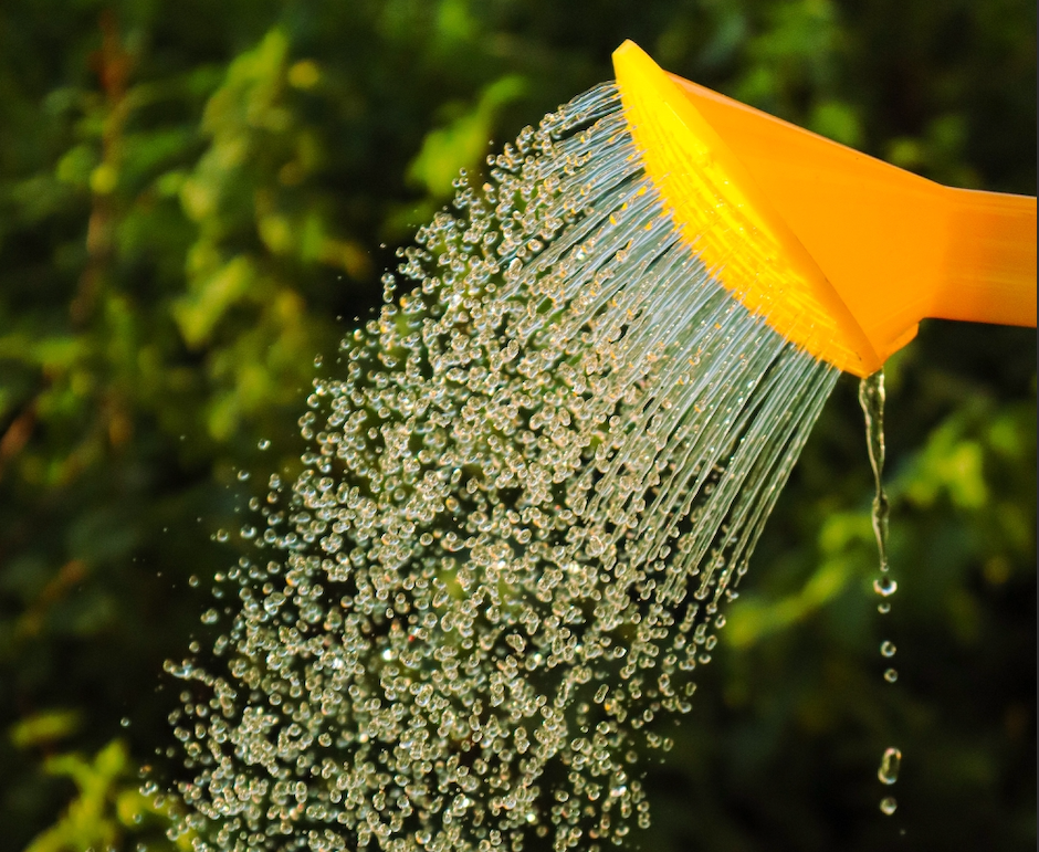 Choosing and Changing Your Shower Fixtures The Easy Way