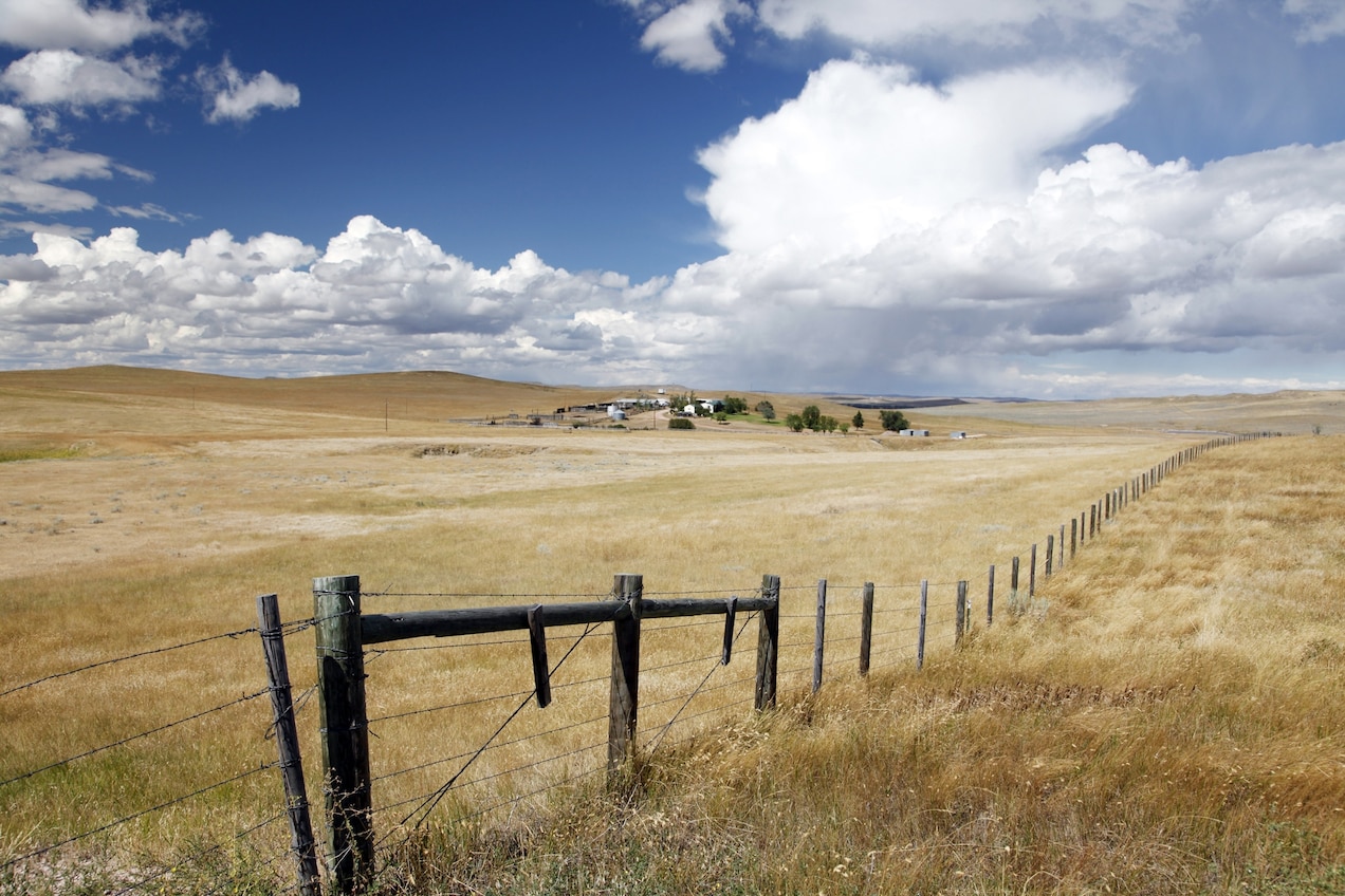 a barbed wire fence surrounded by tall yellow grass with a farmhouse in the distance