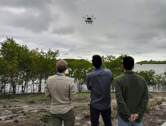 these men are flying a drone over Panama's mangrove forests