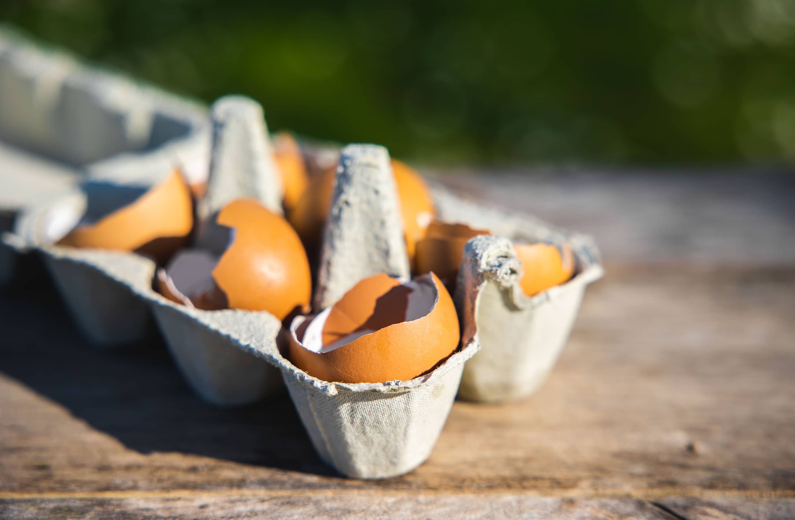 Comment réutiliser les coquilles d'oeufs ? SweetnessLab — free download