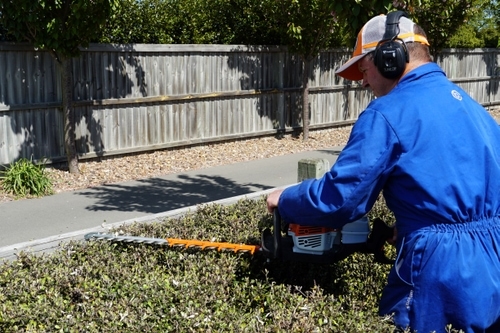 Hedge trimming