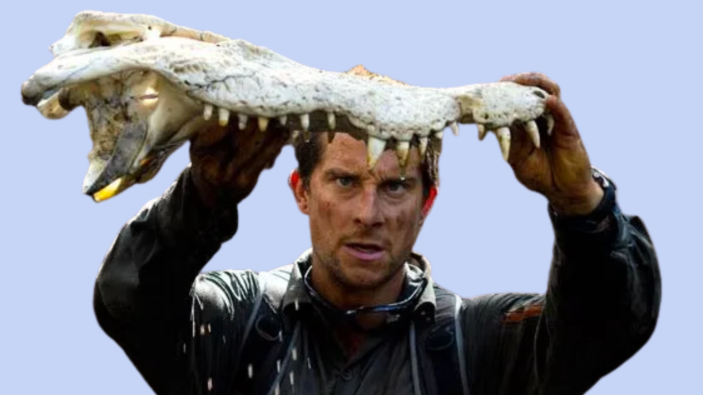 Top 10 Tips to Help You Survive A Psychology Degree