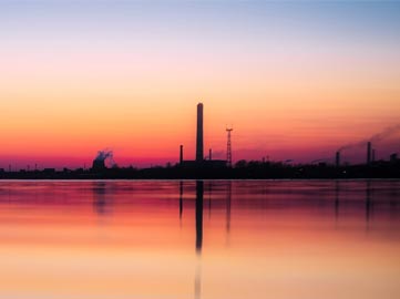 Cómo podemos revertir la contaminación del aire, el mayor riesgo ambiental para nuestra salud