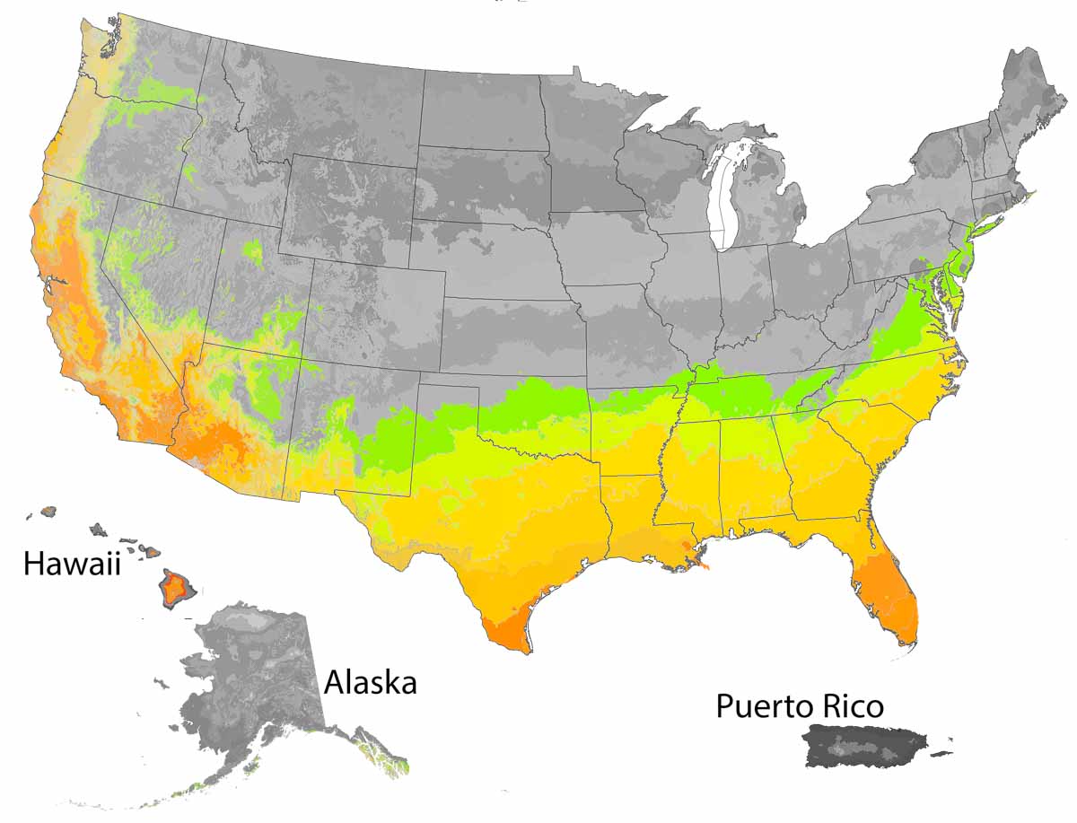 US Map with highlights of areas where this plant thrives.