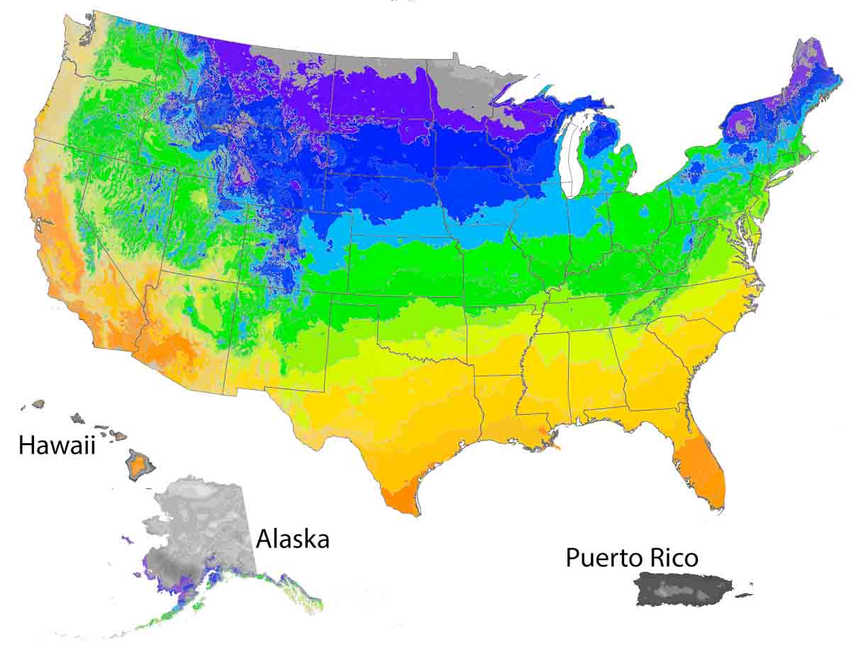 US Map with highlights of areas where this plant thrives.
