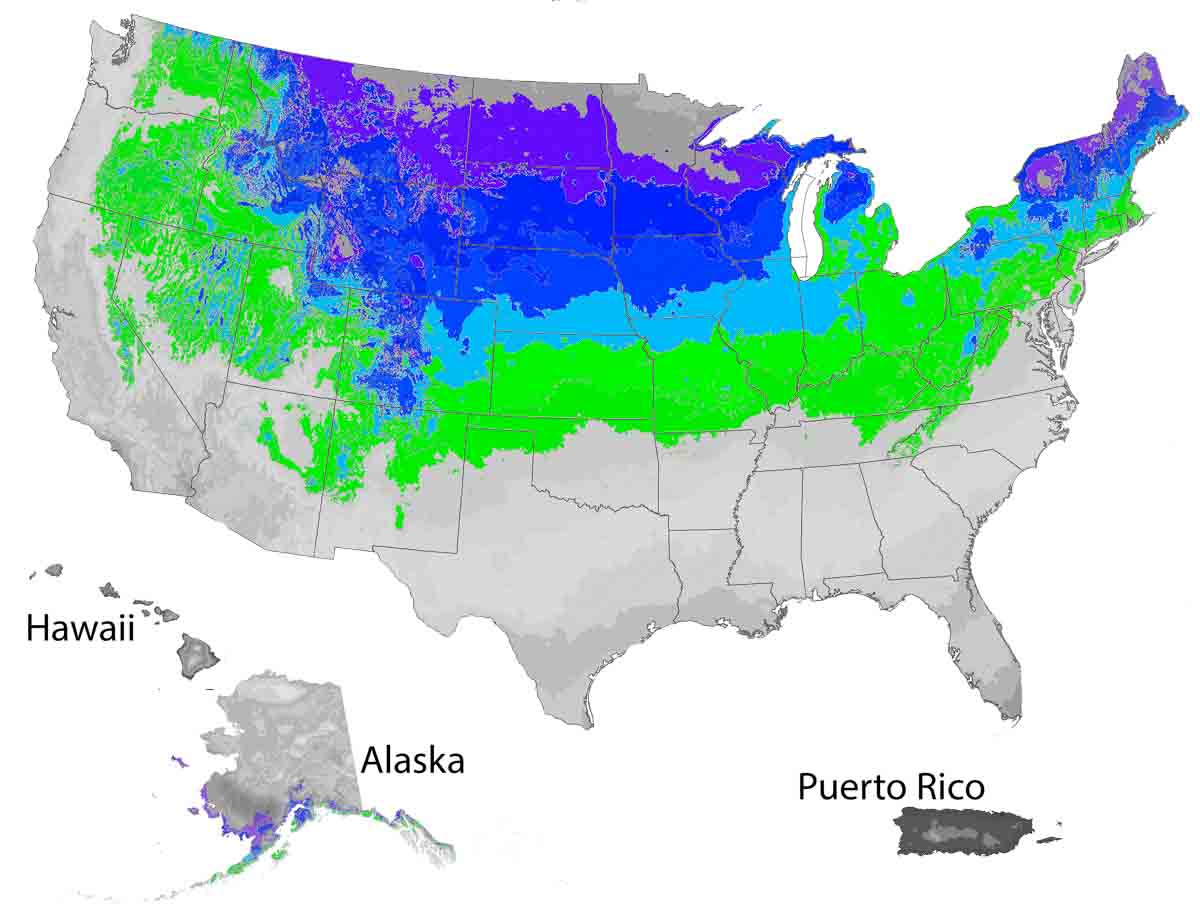 US Map with highlights of areas where this plant thrives.