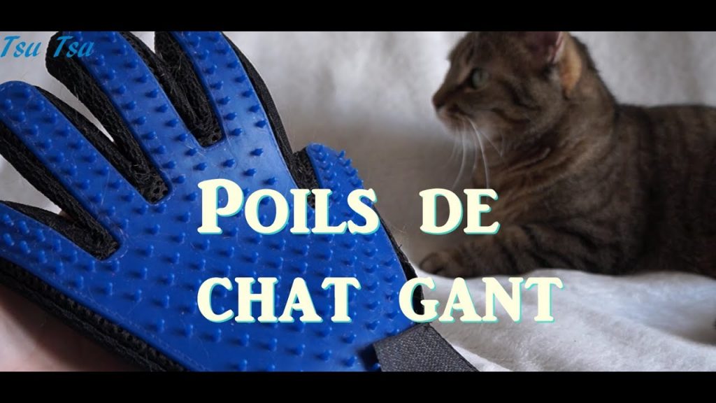 publicite-gants-poils-chat