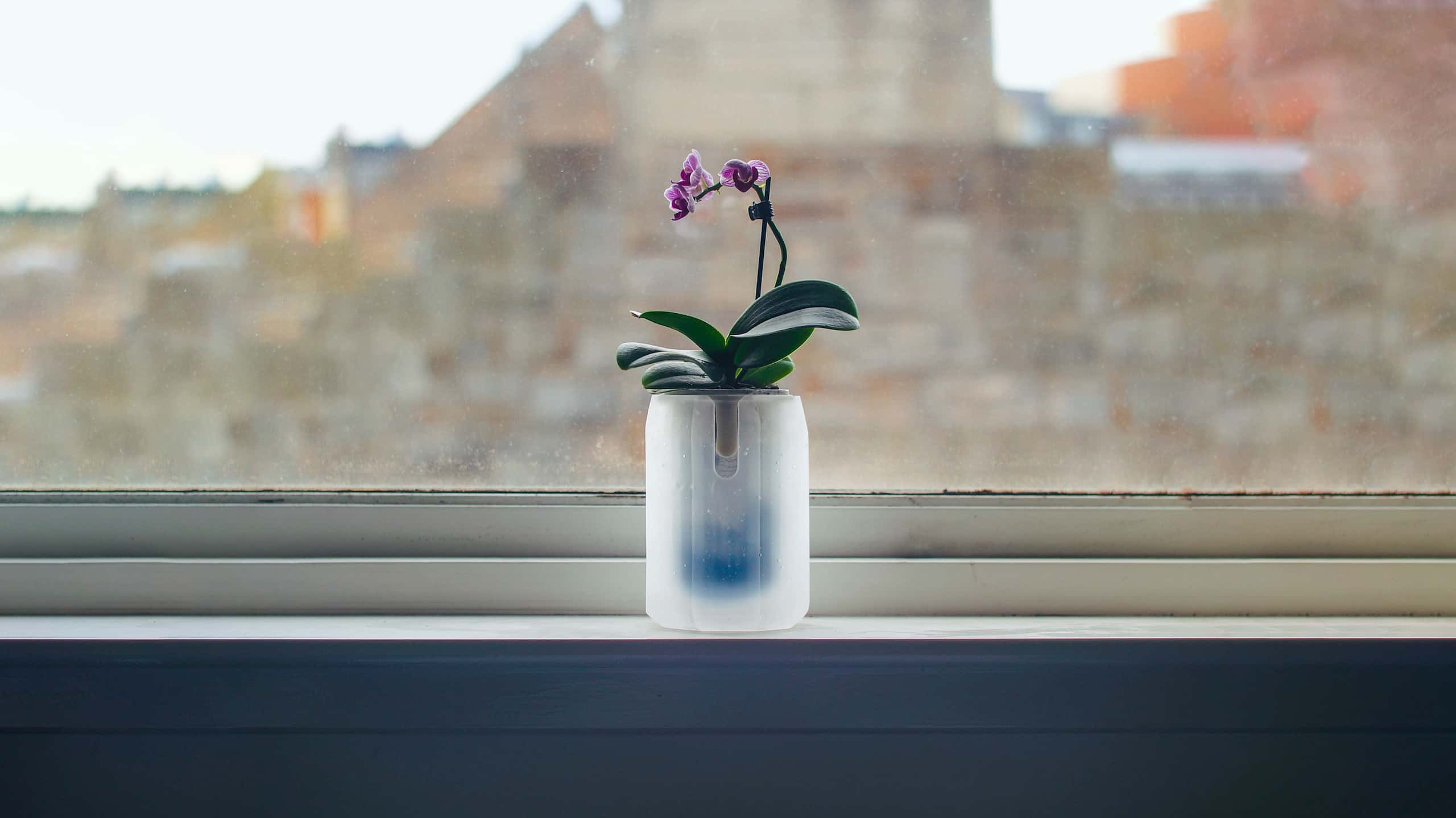 A new-age material experiment through the form of an eight-sided cast glass orchid vase, that indicates the plant’s water level using a hydrochromic coated inner cylinder that reveals a deep blue on contact with water — translating the plant’s chemical state into a physical impression on the product’s material.