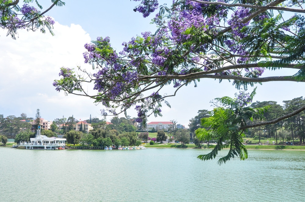 Hồ xuân hương