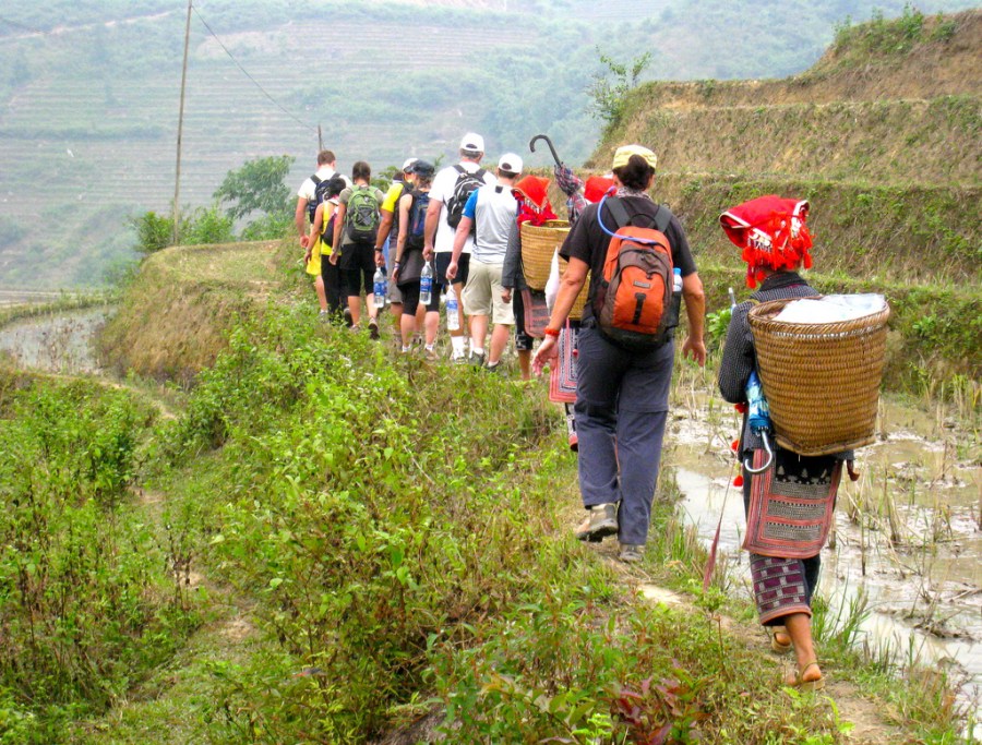 Các mùa ở Sapa: Khi nào là thời gian tốt nhất để đi? | Tour đi bộ xuyên rừng Sapa