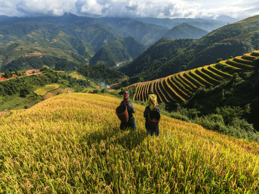 TrekkingSapa.com2