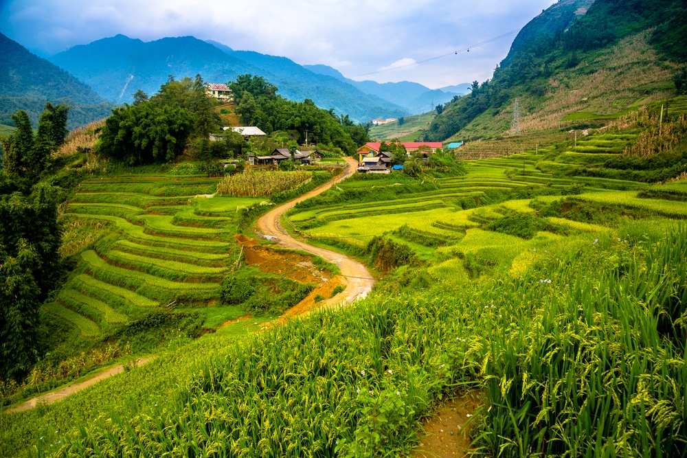 Bản Cát Cát, Sapa