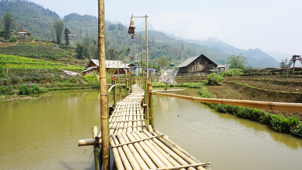 Bản Phố