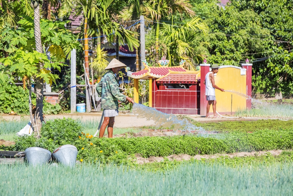 Làng Trà Quế