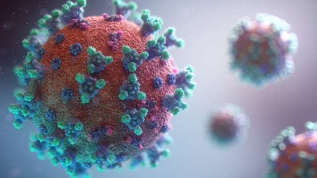 A viroterapia com o zika é capaz de eliminar por completo as células cancerígenas de determinados tumores. Foto: Reprodução/Unplash