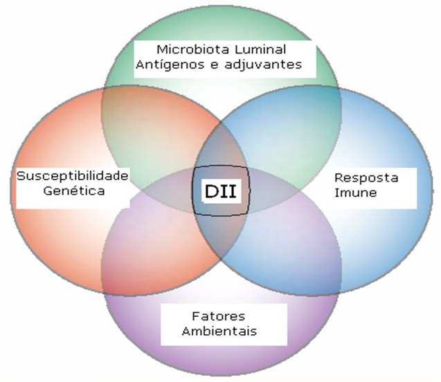 Fatores que exercem influência na patogenia das DII. Fonte: Universidade Federal do Maranhã (https://slideplayer.com.br/slide/3796204/)