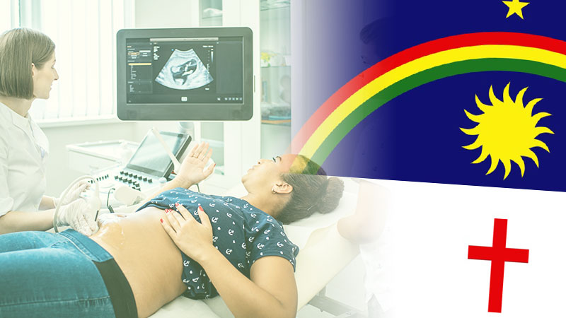Revisão R+ Ginecologia e Obstetrícia