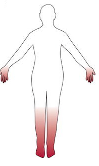 https://www.ufrgs.br/lidia-diabetes/2017/05/31/neuropatia-dia