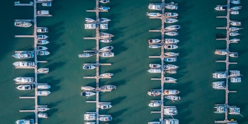 boats in a marina