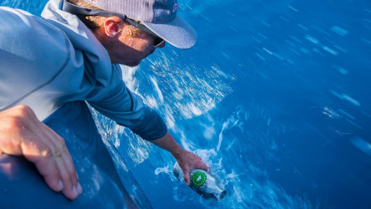 A man collects water samples from a boat for scientific research