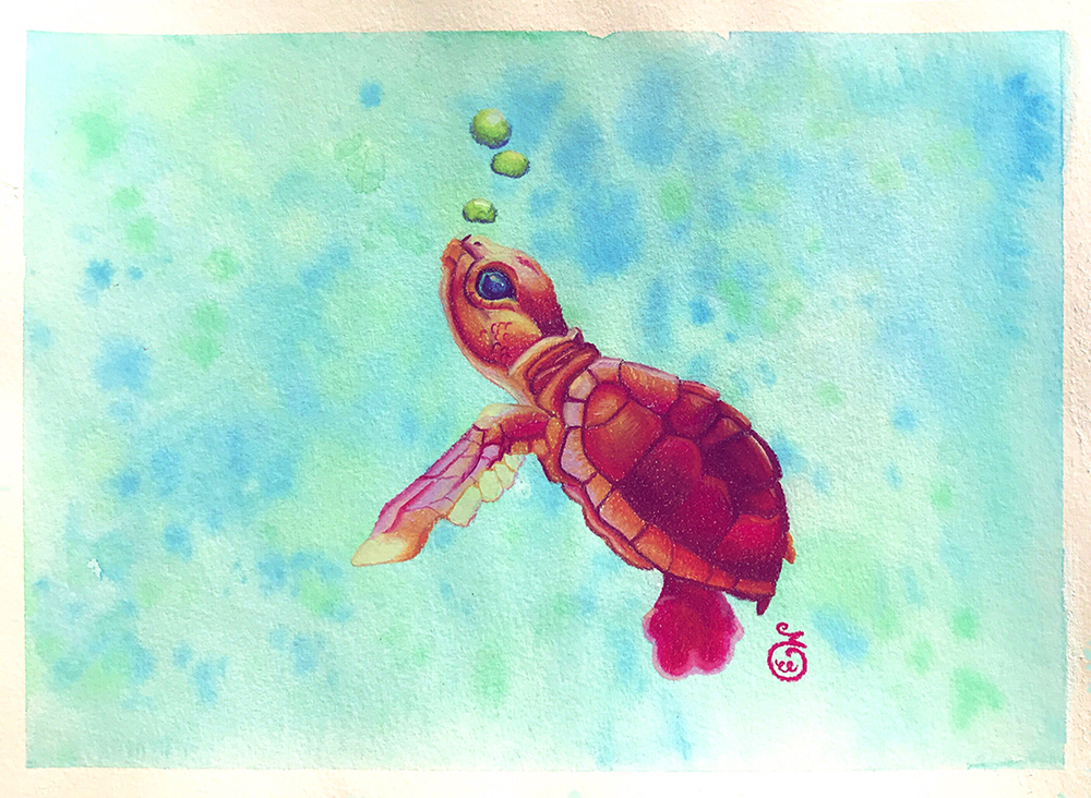 pastel sec illustration tortue