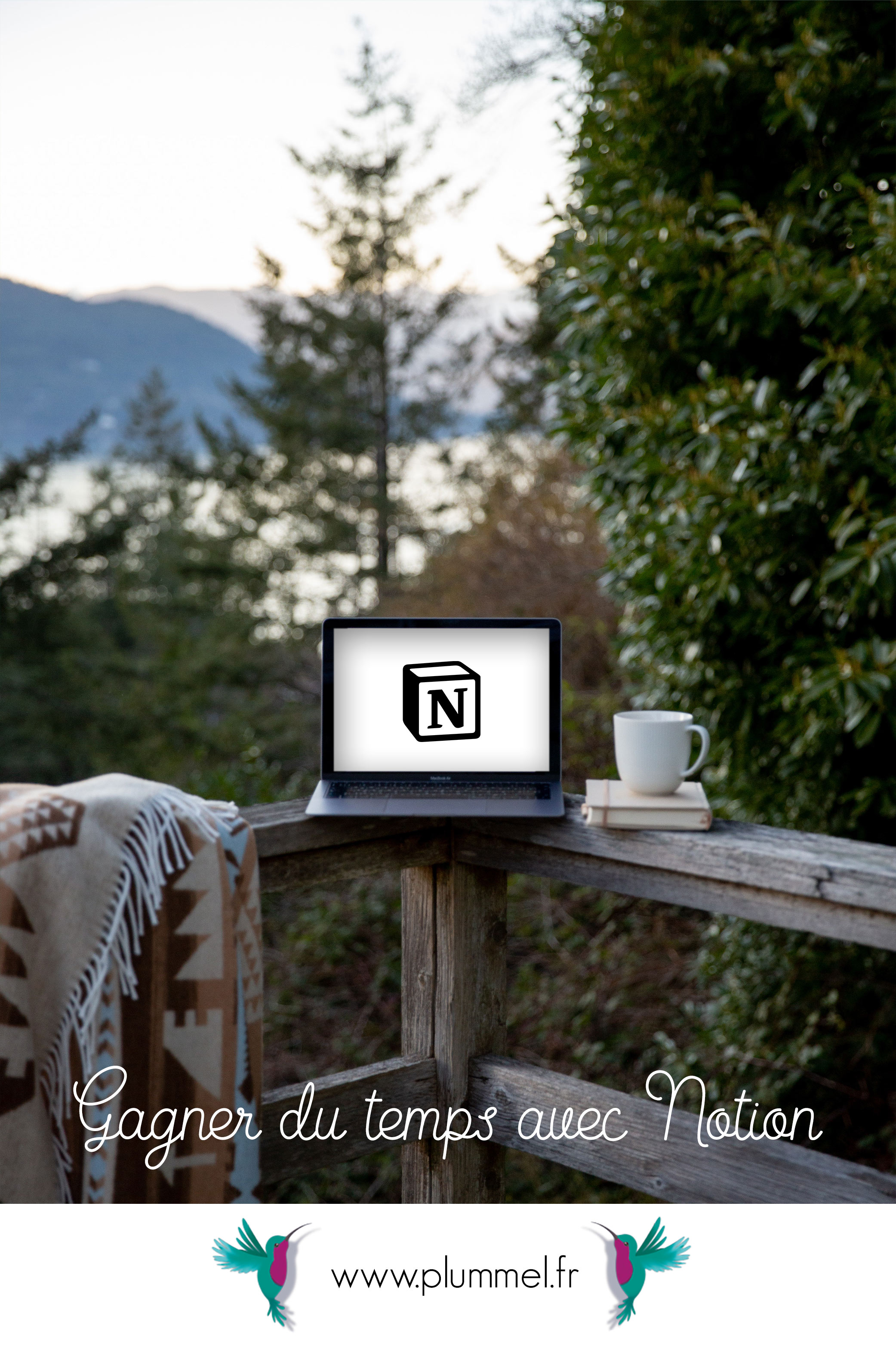 gagner du temps avec notion épingle pinterest