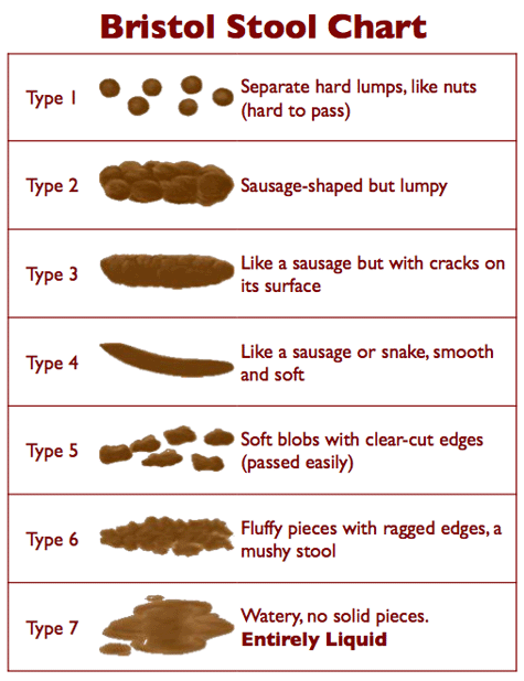 Bristol stool chart · Faecal · Continence Foundation of Australia