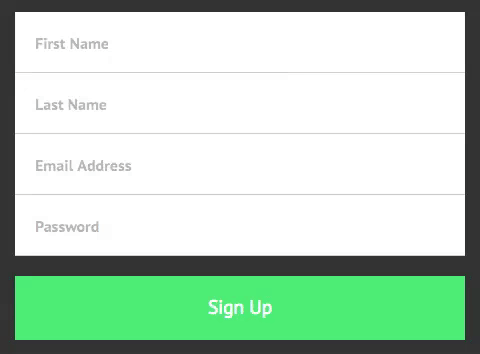 Form where placeholder text disappears when user begins typing