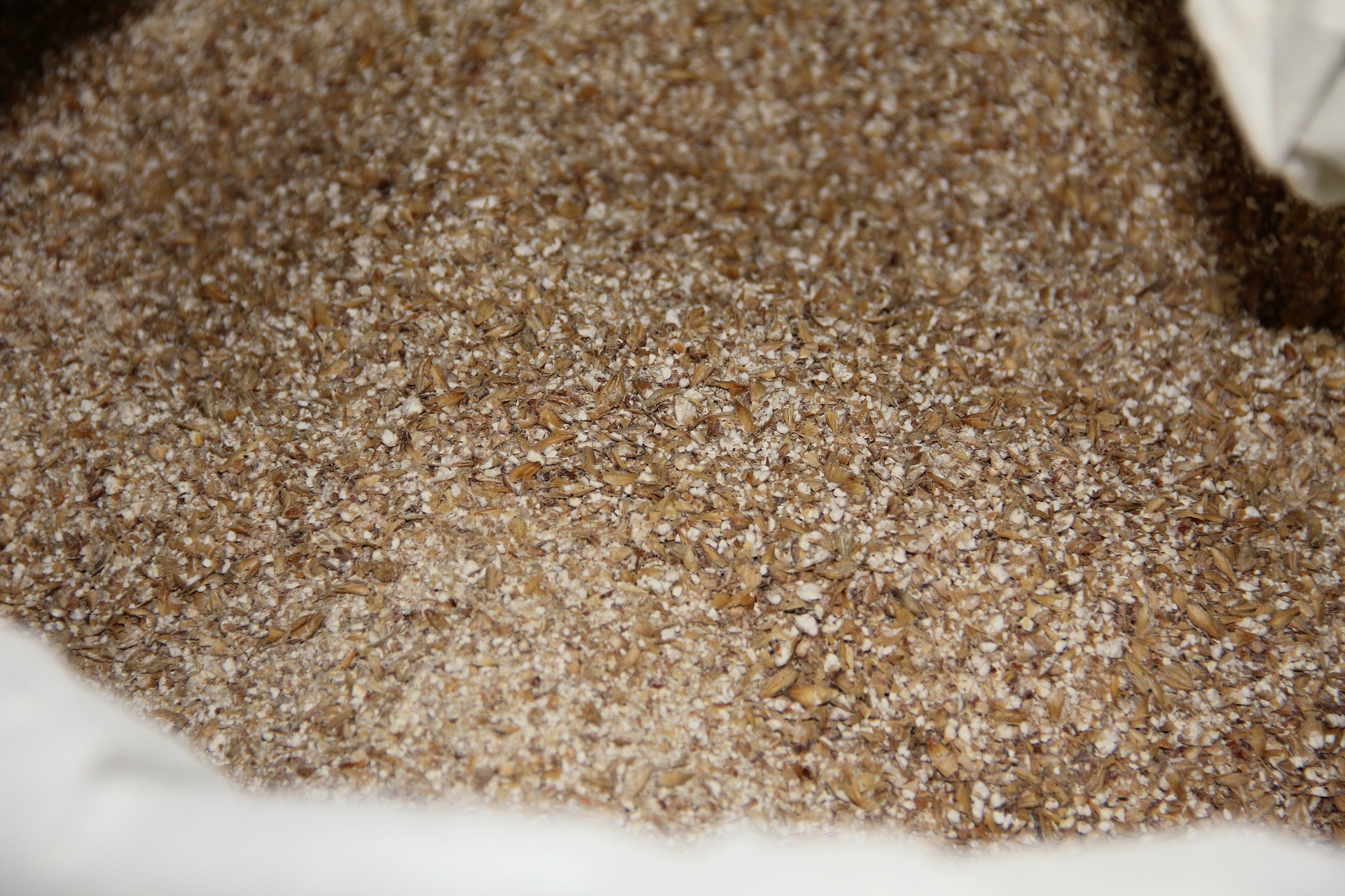 Concassage du malt