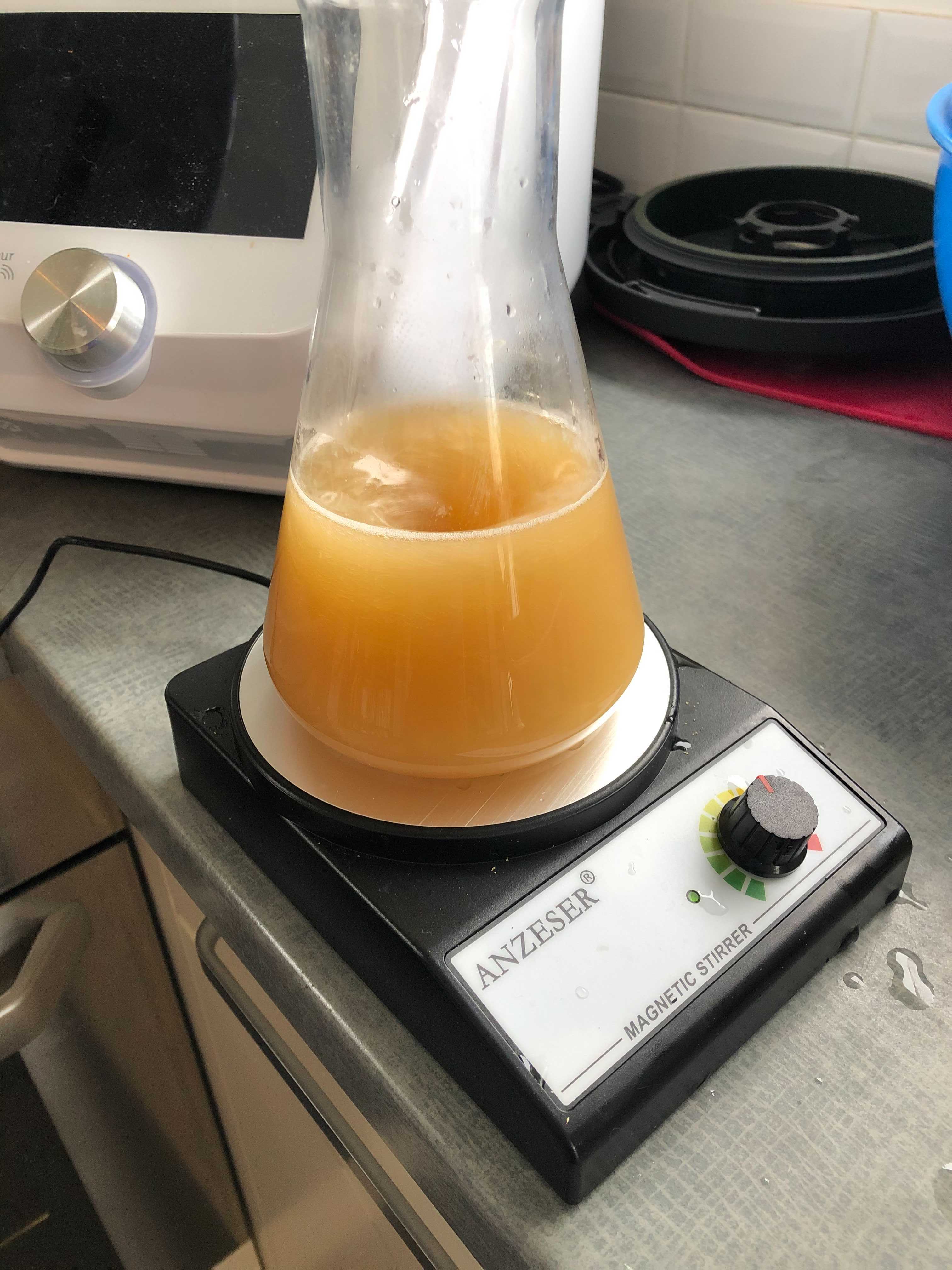 Recette Bière Witbier