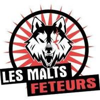 Brasserie Les Malts Fêteurs — brasserie artisanale à VAL D'ARCOMIE