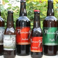 Brasserie Flamine — brasserie artisanale à ARLEUX