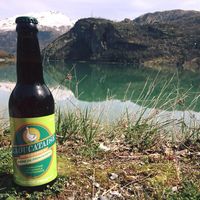 Brasserie L'Aoucataise (Pyrene SARL) — brasserie artisanale à ARREAU