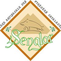 Brasserie Senglar — brasserie artisanale à MANTET