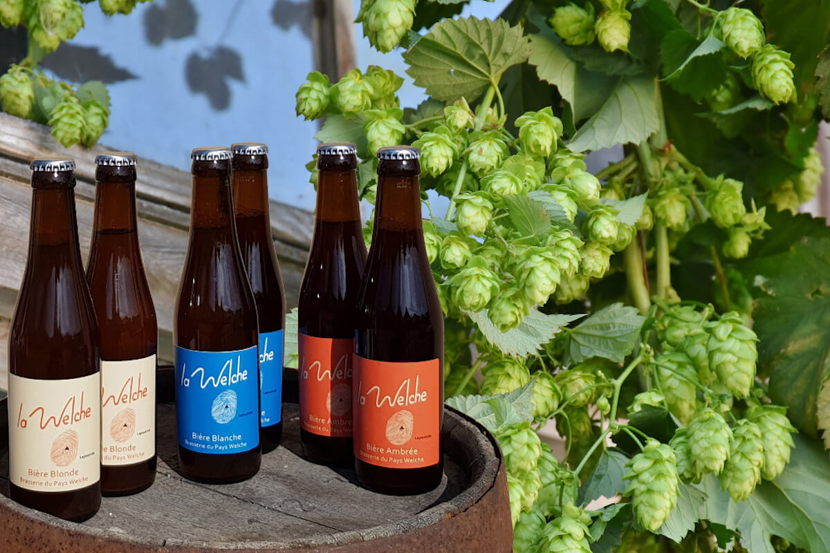 Brasserie du Pays Welche — brasserie artisanale à LAPOUTROIE