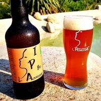 Brasserie Azuréenne — brasserie artisanale à GRASSE