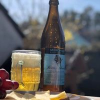 Brasserie Merchien — brasserie artisanale à FONTANES