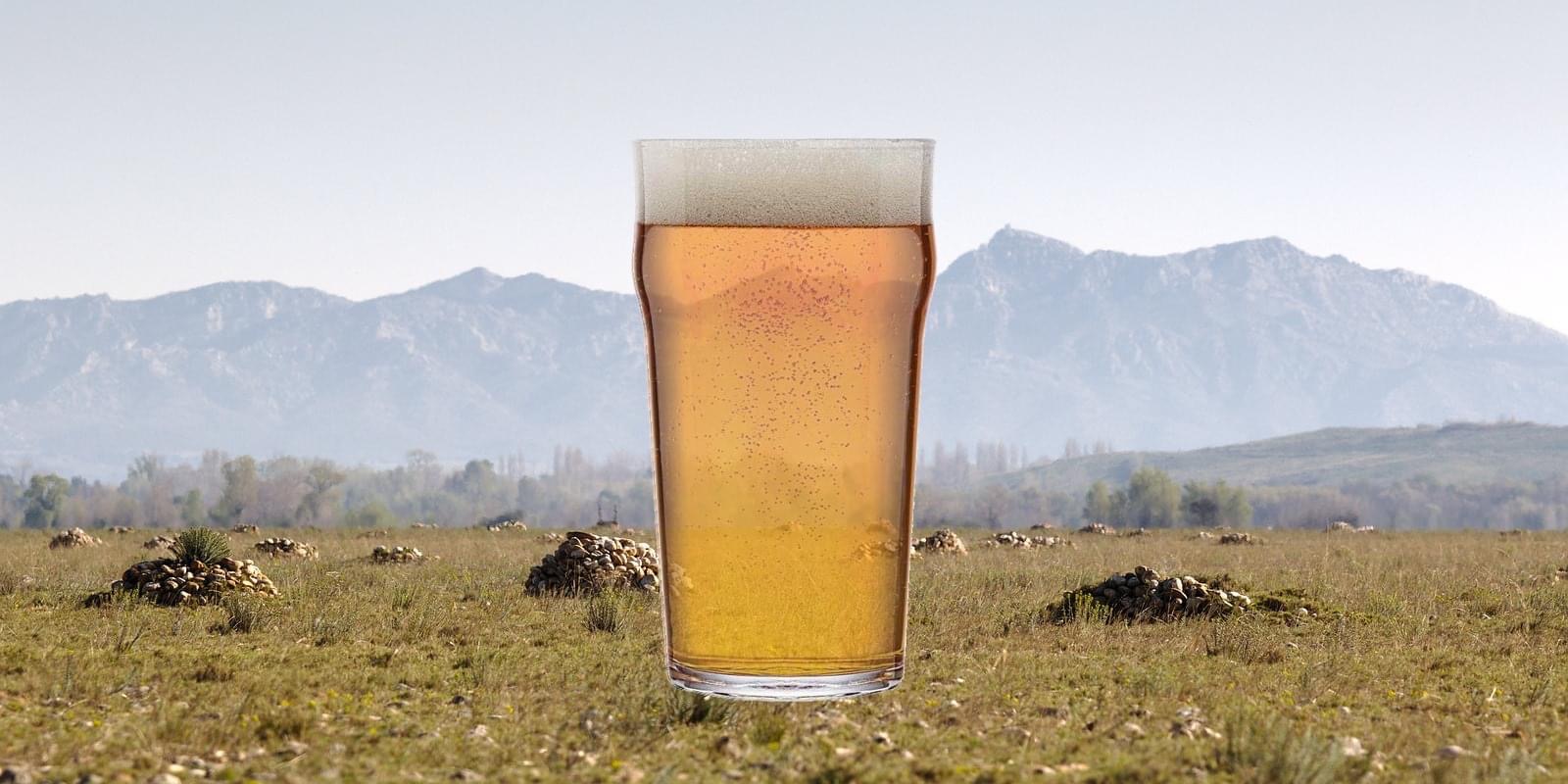 Microbrasserie de la Crau — brasserie artisanale à Entressen