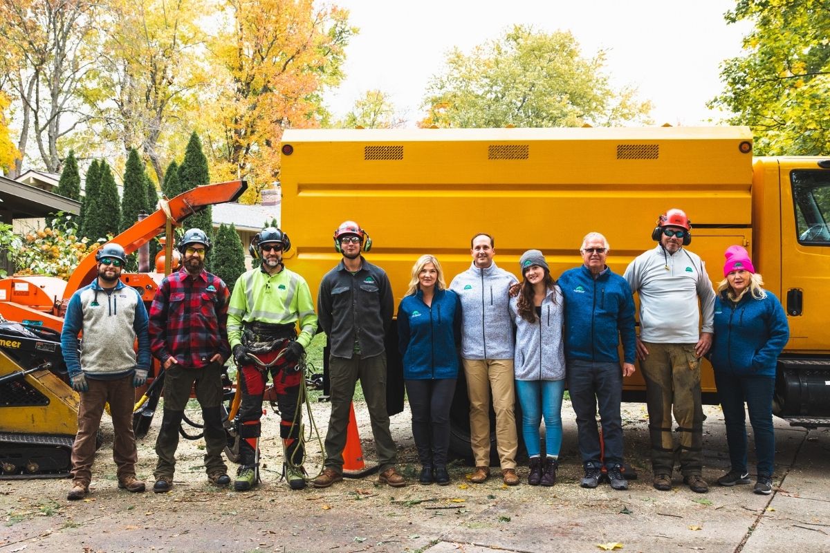 Tom�s Tree Service Michigan inspire ideas 2022