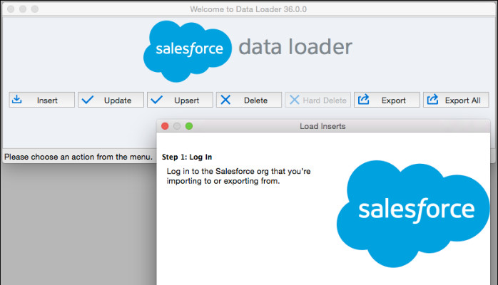 Salesforce Interface