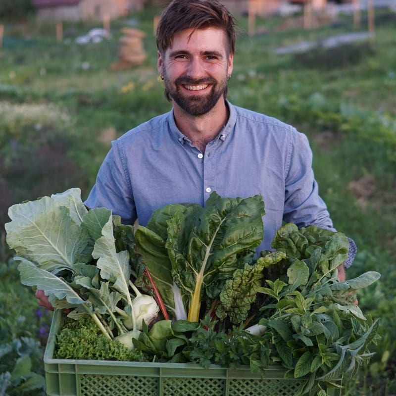 Gemüsekiste Frankfurt