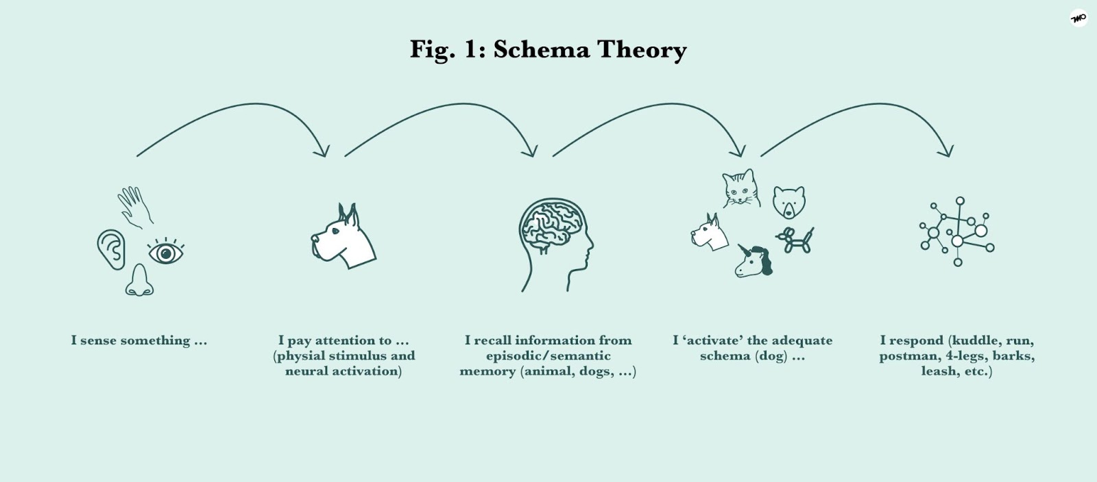 How Cognitive Schema affects human expectations