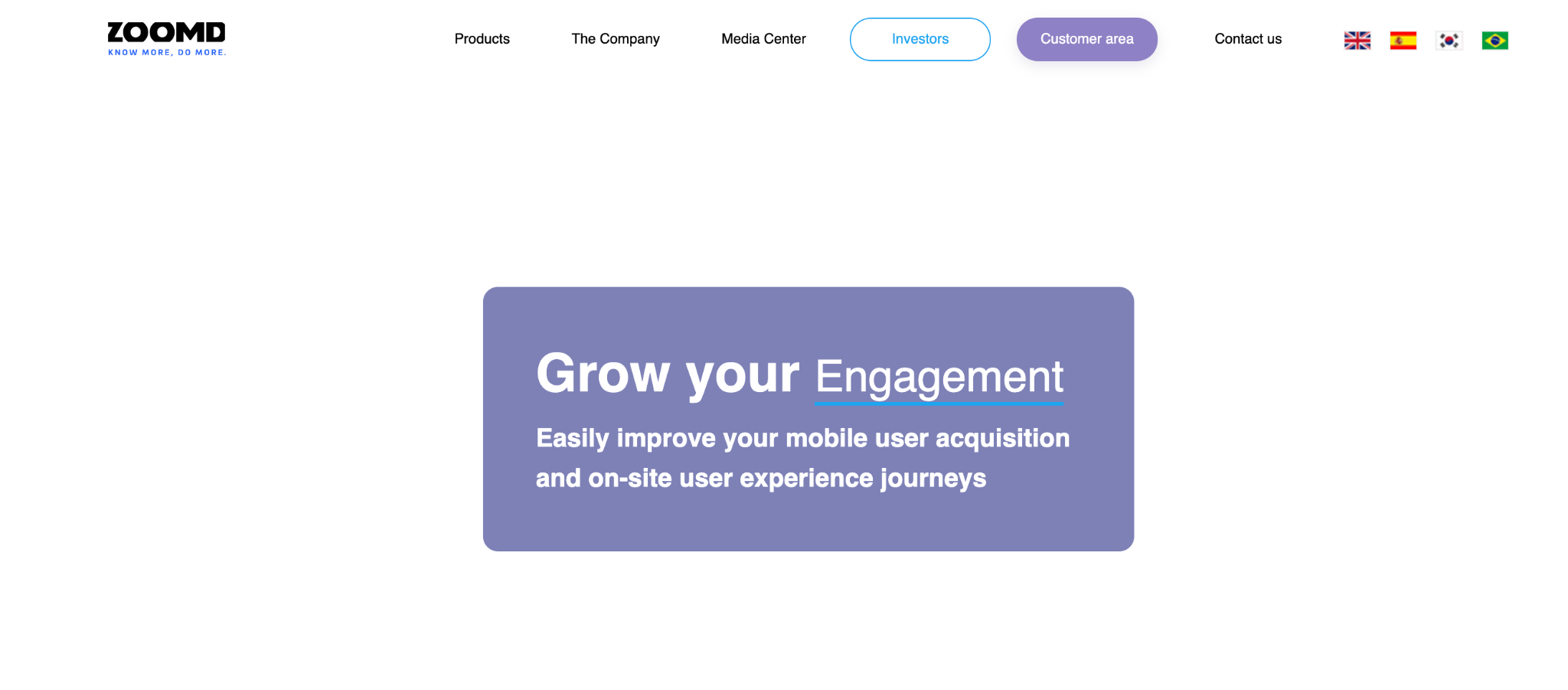 Zoomd Display Network Homepage