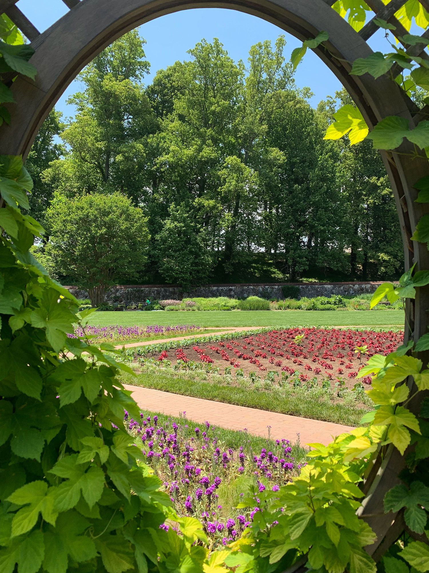 Biltmore Gardens Seen Through Trellis