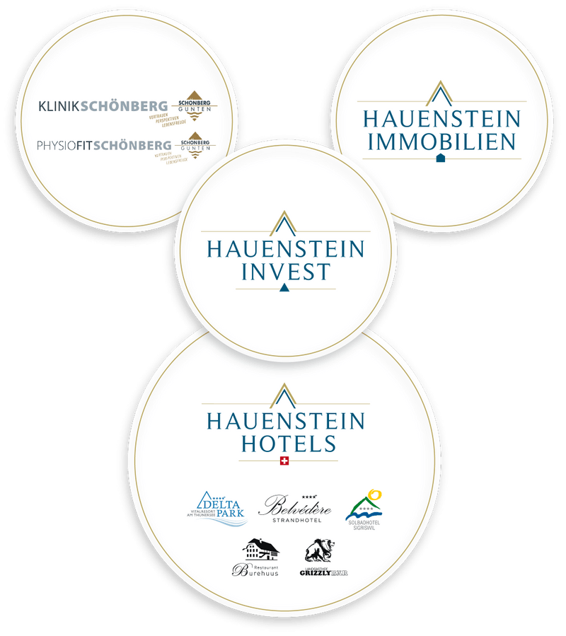 Markenkonstrukt der Hauenstein Gruppe