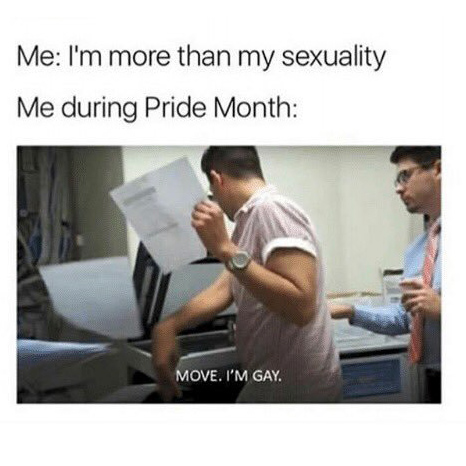 MOVE I'M GAY PRIDE MONTH MEME