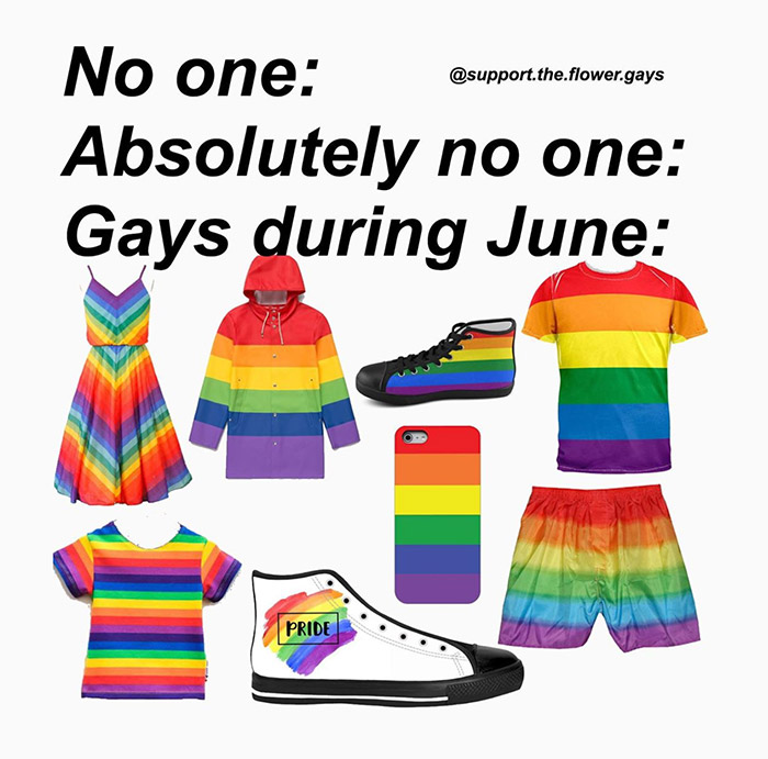 RAINBOW STUFF PRIDE MONTH MEME