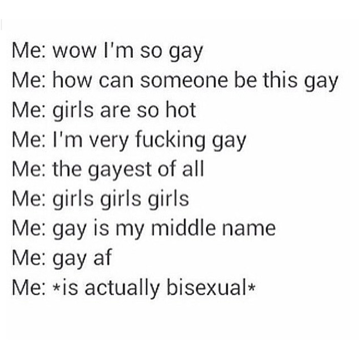 BISEXUAL PRIDE MONTH MEME