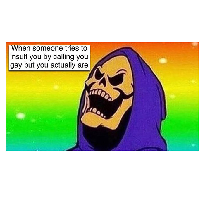 TRY INSULT PRIDE MONTH MEME